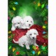 FURRY CHRISTMAS DELIGHTS Puppies for Xmas 2
